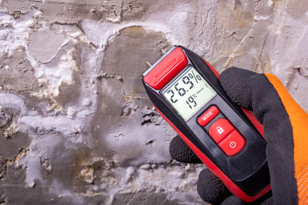 Best Attic Mold Removal  in Youngwood, PA