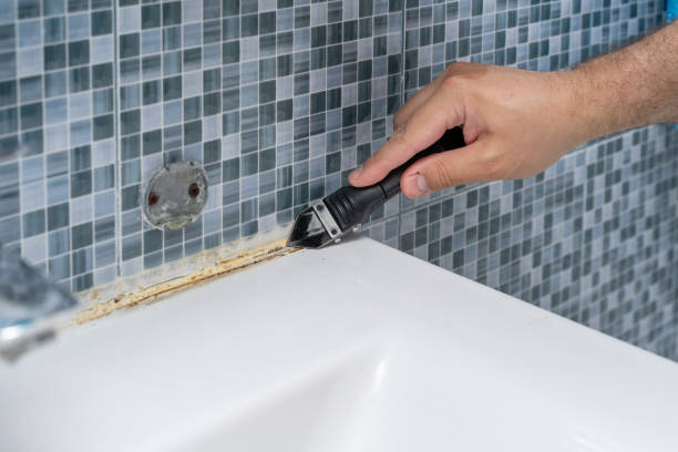 Best Residential Mold Removal  in Youngwood, PA